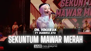 sekuntum mawar merah jadul diandra ayu x om himawan harlah ke 6 st dua hati telah berpadu