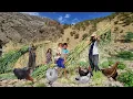 Download Lagu Uitdagingen van het nomadische gezinsleven aan de bergrivier | Nomadisch leven in Iran