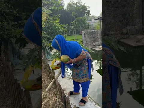 আজ অনেকদিন পর বাবার বাড়িতে যাব।#villagelife #shorts