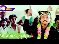 Download Lagu Pallaakku Kuthiraiyile | Malaysia Vasudevan | Ilaiyaraaja | Gangai Amaran | Periya Veetu Pannakkaran
