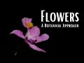 Download Lagu Flowers: A Botanical Approach