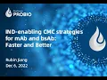 IND enabling CMC Strategies for Bispecific Antibodies