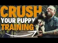 PUPPY TRAINING MASTERCLASS - Reggie Diary Week 1
