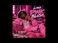 Lil Rayy – PINK BLUSH (Remix) [Official Audio] 