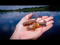 Crawfish Lure Vs Real Crawfish Match The Hatch Land Of Giants Tour Ep 2