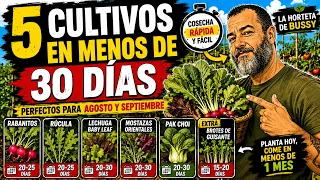 5 Cultivos que puedes cosechar en menos de 30 días