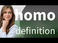 Homo meaning of HOMO