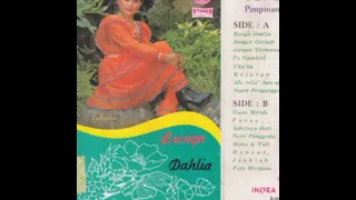 bunga dahlia original om pengabdian banyuwangi