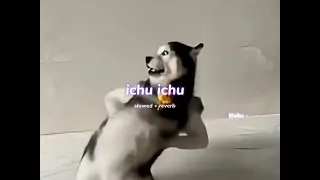 ichu ichu s l o w e d r e v e r b lilvibe