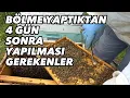 Bölme yaptıktan dört gün sonra yapılması gereken işlem. Bu işlem yapılmaz ise arı oğula gider. #arı