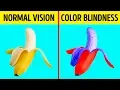 Lagu How Color Blind People See the World