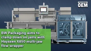 BW Packaging Hayssen X850 flow wrapper for high-speed cheese applications