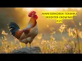 Download Lagu Kumpulan Ayam Berkokok Terbaru 2025: Beragam Suara dari Ayam Berbagai Jenis! 🐓✨