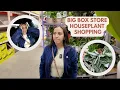 Houseplant shopping at my local big box stores - Home Depot Lowes and Walmart