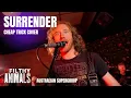 Surrender - CHEAP TRICK cover by Australian Supergroup The Filthy Animals