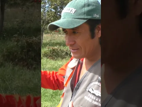 Caminando con el guía de yungay