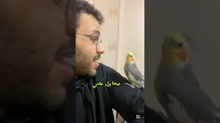 رد فعل بيكي لما شافني بعد غياب شهر عنه Shorts Fyp Foryou R 