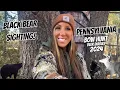 HUGE BLACK BEAR SIGHTING PENNSYLVANIA BOW HUNT DEER DIARIES 2024