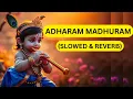 Download Lagu Adharam Madhuram Lofi | Slowed \u0026 Reverb | अधुरं मधुरं वदनं मधुरं | Madhurashtakam | Krishna Bhajan