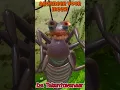 Download Lagu Je vind me eng! #funny #comedy #trending #humor #crazy #memes #grappig #funnyvideo #funnyshorts