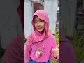 Angguk angguk geleng geleng