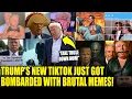 Download Lagu Trump BRUTALLY TROLLED As New White House TikTok INSTANTLY BACKFIRES