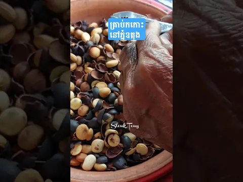 គ្រាប់កកោះនៅភ្នំឧត្តុង #cooking #sleukteuy #ស្លឹកតើយ
