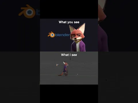 What you see vs What I see
