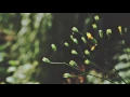 Download Lagu heizzah - it's ok to be sad