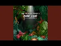 Download Lagu Jungle Spirit