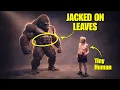 Gorillas Don t Eat Protein So Why Are They So Jacked