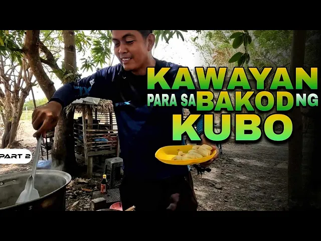 Download MP3 P2-NANGUHA NG KAWAYAN PAMBAKOD | Kubo Update - EP1322