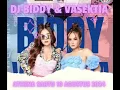 Lagu DJ BIDDY TERBARU 2024 SABTU 10 AGUSTUS 2024 DJ VASEKTIA ATHENA MALAM MINGGU