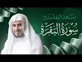 Lagu سورة البقرة بصوت القارئ الشيخ سعد الغامدي Surah Albaqarah