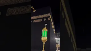 ماهر زين يرتوي بالحب قلبي حب خير ر سل ربي 