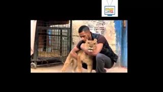 مهرجان قلب الاسد   من فيلم قلب الاسد   محمد رمضان   المدفعجية   الجزار دندنها