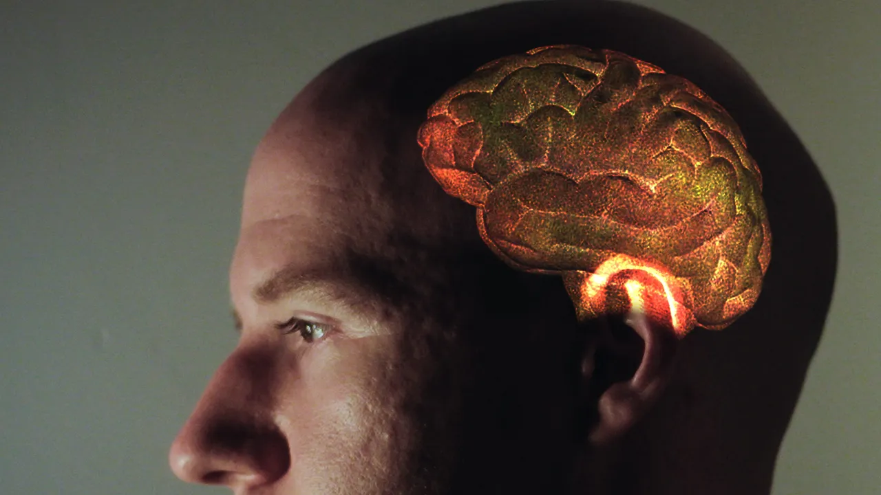 Outline Video How to cure brain rot