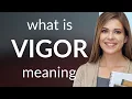 Vigor VIGOR meaning