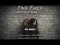 Lagu Comfortably Numb – Pink Floyd (po polsku) | Cover | Kasia Miller \u0026 REDISH