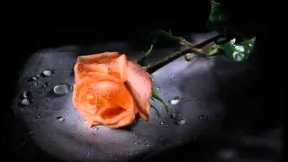 محمد عبده   ياغالي الأثمان دندنها