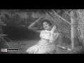 Download Lagu BAAZI JIT LAYI JIND PYAR DE NAVE (Sper Hit) - NOOR JEHAN - PAKISTANI FILM DULLA HAIDRI