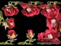 rose gif