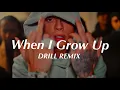 Download Lagu When I Grow Up - Alan Walker \u0026 Flo Rida (Official DRILL Remix)