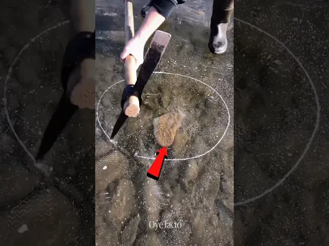 #bts