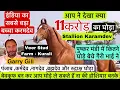 Download Lagu Did you see how many horses Gary Bhai sold for the horse worth 11 crores? Pushkar Mela 2023