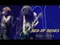 BON JOVI - BED OF ROSES  cover MR.82