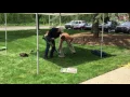 Diamond Pier Installation
