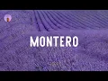 Download Lagu Lil Nas X - MONTERO (Call Me By Your Name) (lyrics)