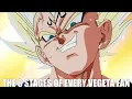 The 6 Stages Of Every Vegeta Fan