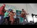 Heidi Clare clogging with Dry Branch Fire Squad Grey Fox 2026
